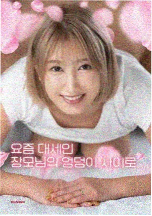 花野追迹者
